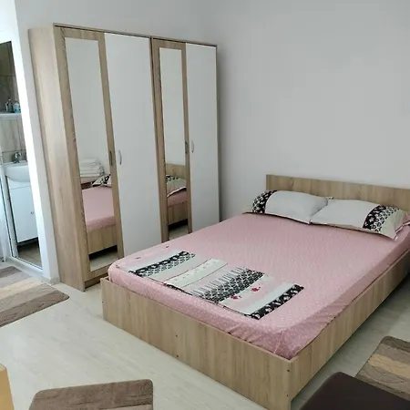 Kociu's House Penzion Constanţa